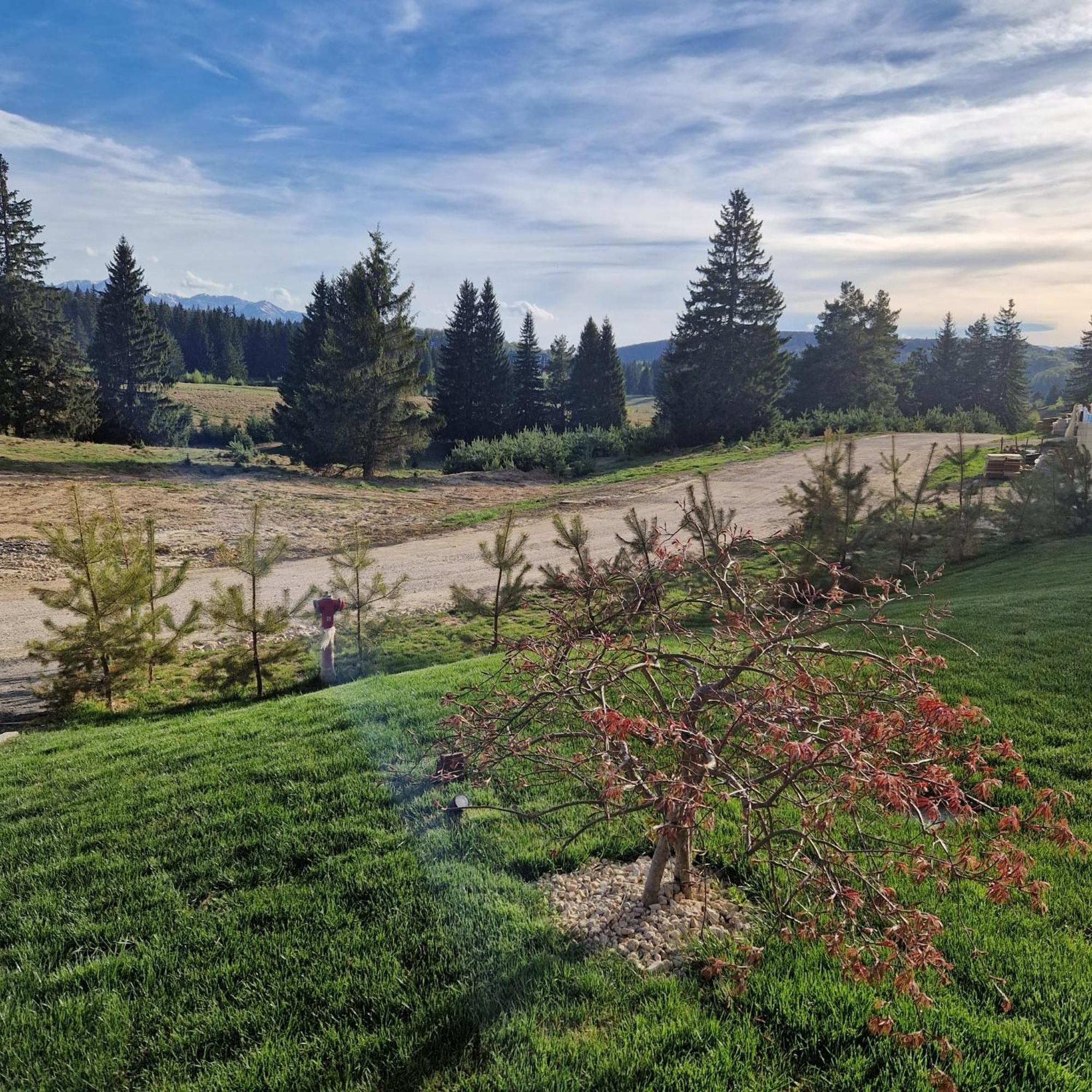 Albert Residence Aparthotel Grand Chalet With Free Spa Access To Alpin Resort Poiana Brasov Exteriör bild